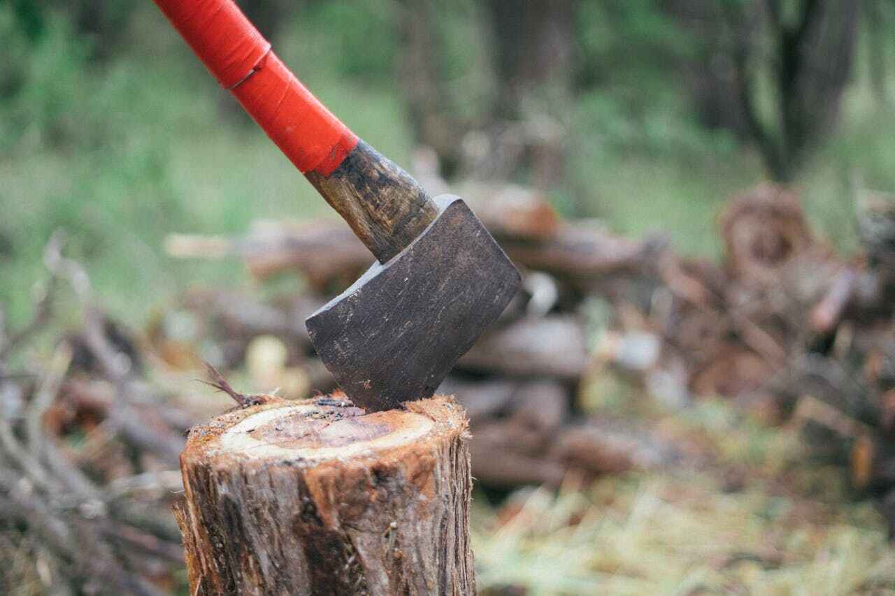 Residential Tree Removal in Senath, MO